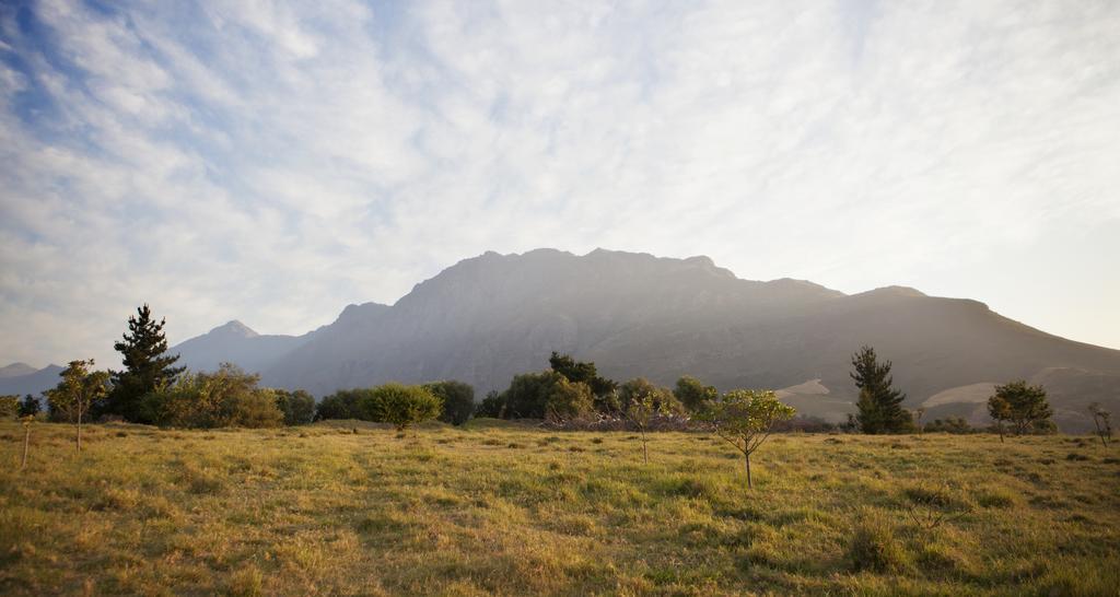 Rozendal Stay Stellenbosch Exterior foto